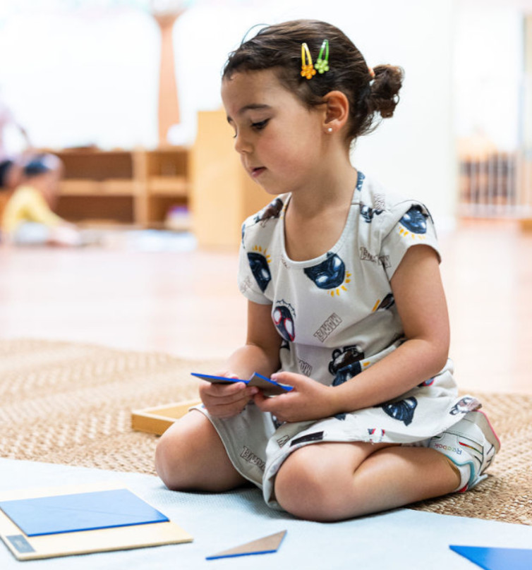 about-curriculum-new